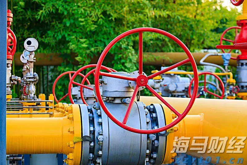 世界首例！广东医生将基因编辑猪肺移植到人体